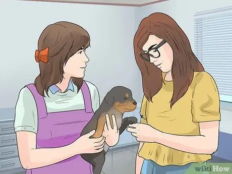 Уход за щенком ротвейлера Шаг 2