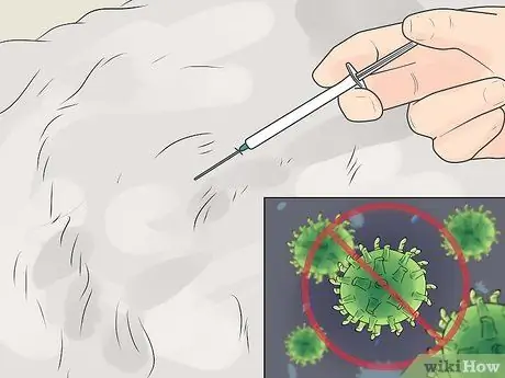 Уход за щенком ротвейлера Шаг 4