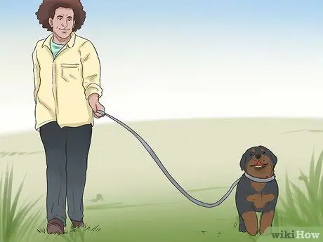 Уход за щенком ротвейлера Шаг 6