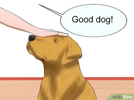 Используйте подушечки для щенков и приучение к горшку вместе Шаг 14