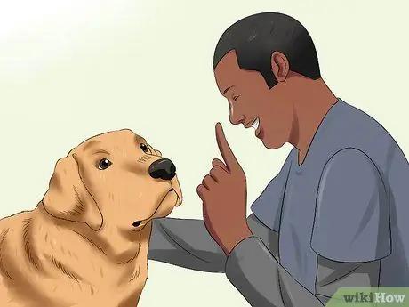 Используйте подушечки для щенков и приучение к горшку вместе Шаг 16