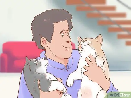 Разлучение щенков с матерью Шаг 12