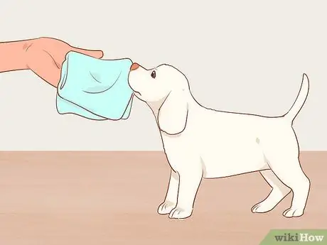 Разлучение щенков с матерью Шаг 16