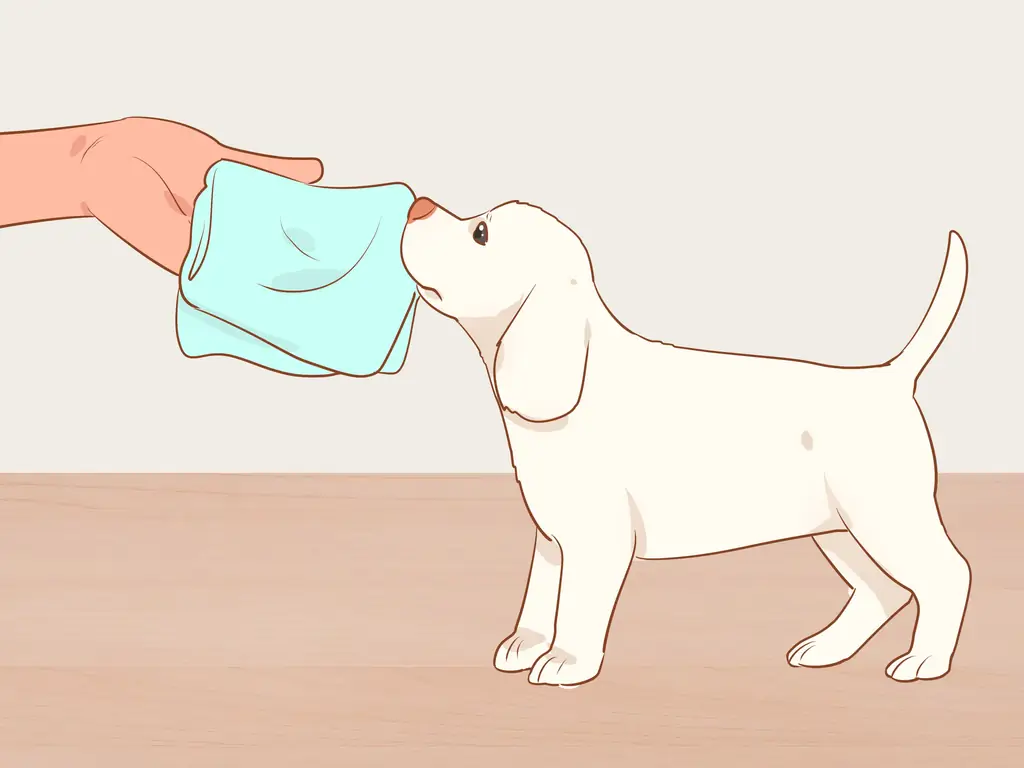 3 способа разлучить щенков с матерью