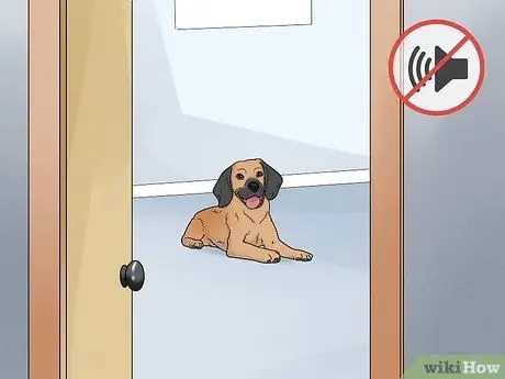 Не позволять собакам лаять на людей Шаг 14