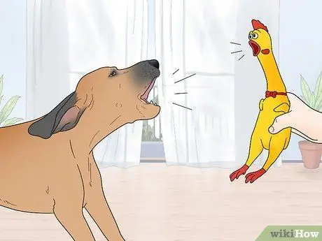 Не позволяйте собакам лаять на людей Шаг 16