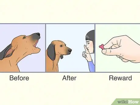 Не позволяйте собакам лаять на людей Шаг 17