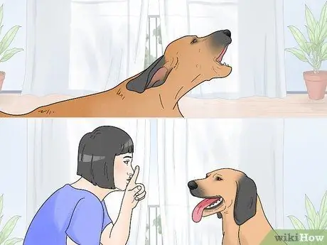 Не позволяйте собакам лаять на людей Шаг 18