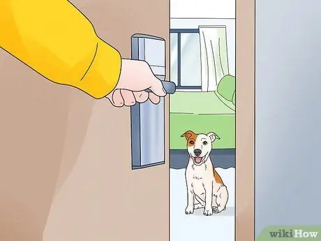 Не дать собакам лаять на людей Шаг 7