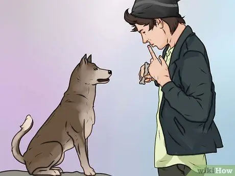 Не позволяйте собаке лаять на незнакомцев Шаг 8