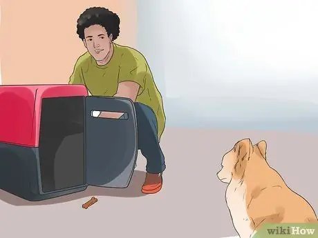 Прекратить вой собак, шаг 5