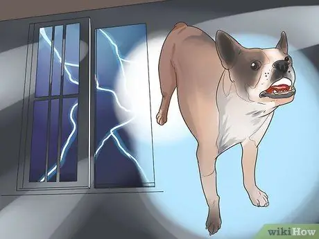 Прекратить вой собак Шаг 8