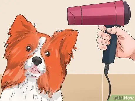 Прекратить вой собак Шаг 9