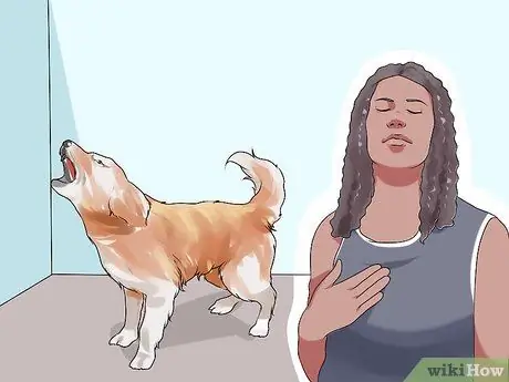 Не позволяйте новой собаке лаять на ваших соседей Шаг 11