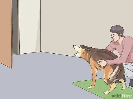 Не позволяйте новой собаке лаять на ваших соседей Шаг 6