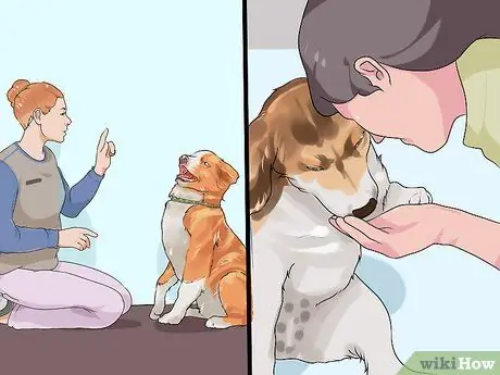 Не позволяйте новой собаке лаять на ваших соседей Шаг 9