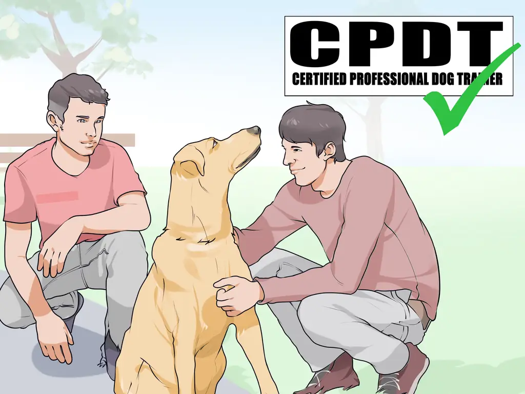 3 способа, чтобы новая собака не лаяла на ваших соседей