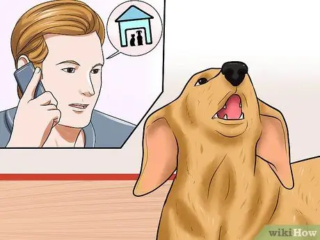 Сообщить о чрезмерном лай собаке Шаг 4
