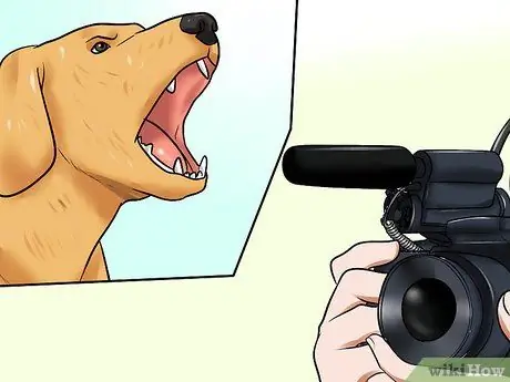 Сообщить о чрезмерном лай собаке Шаг 8