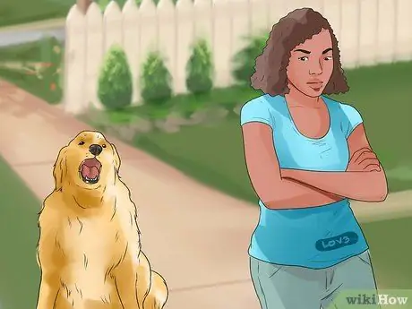 Заставить золотистого ретривера перестать лаять Шаг 5
