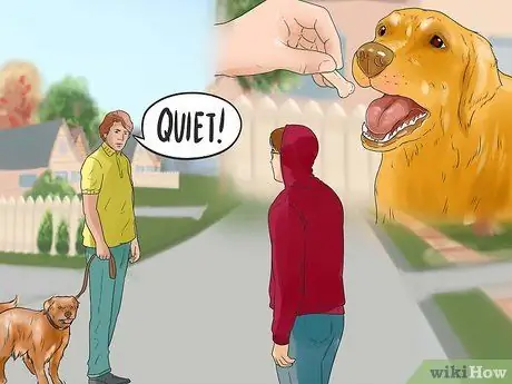 Заставить золотистого ретривера перестать лаять Шаг 7