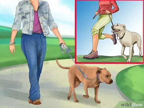 Уменьшить вой у пожилых собак Шаг 2