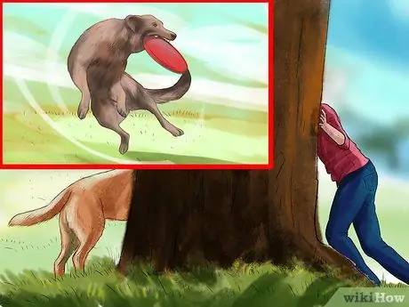 Уменьшить вой у пожилых собак Шаг 3