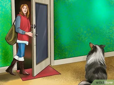 Уменьшить вой у пожилых собак Шаг 4