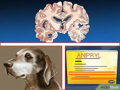 Уменьшить вой у пожилых собак Шаг 7