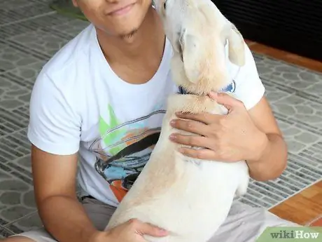 Научите упрямую собаку сесть Шаг 12