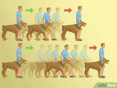 105650 11 105650 11