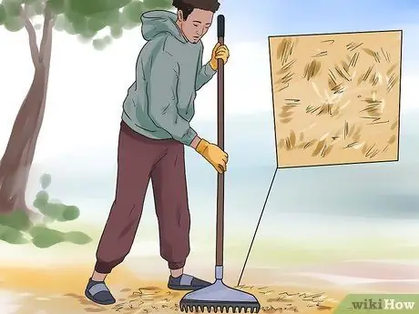 Как предотвратить кошки в саду Шаг 1