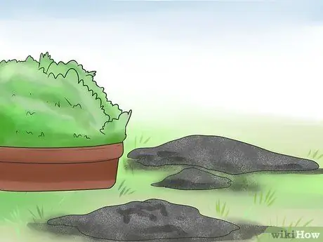 Как предотвратить кошки в саду Шаг 13