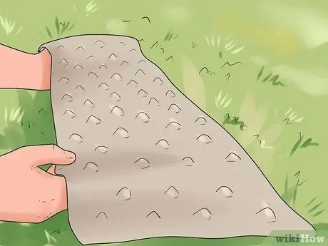 Как предотвратить кошки в саду Шаг 4