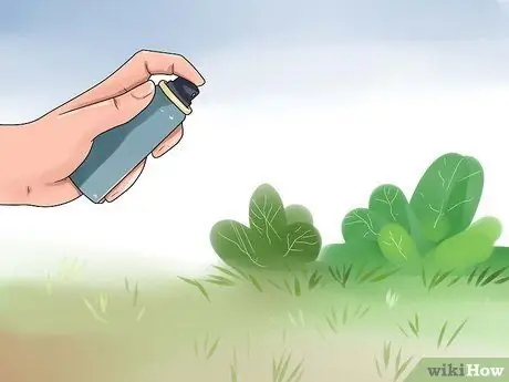 Как предотвратить кошки какающие в саду Шаг 5