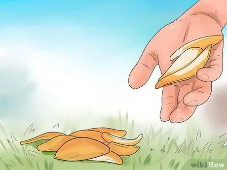 Как предотвратить кошки какающие в саду Шаг 6