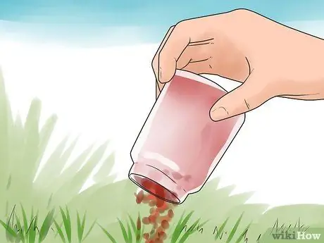 Как предотвратить кошки в саду Шаг 8