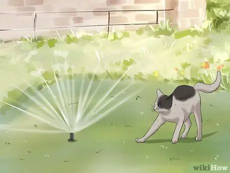 Не подпускайте кошек, шаг 5