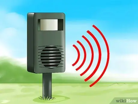 Держите кошек подальше, шаг 6