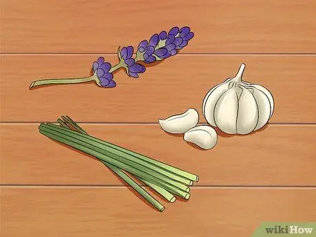 Не подпускайте кошек Шаг 9