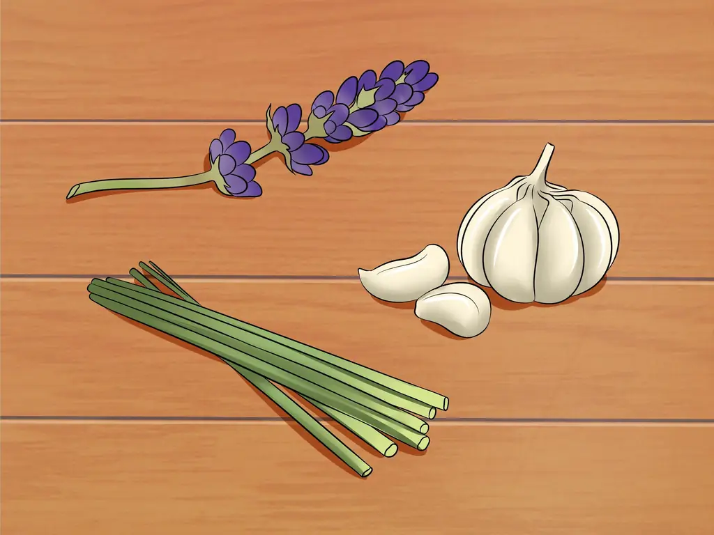 Как не подпускать кошек: 9 шагов (с иллюстрациями)