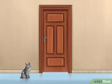 Cat Proof Your Computer Шаг 1