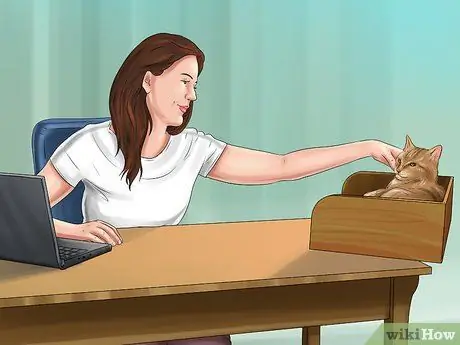 Cat Proof Your Computer Шаг 10