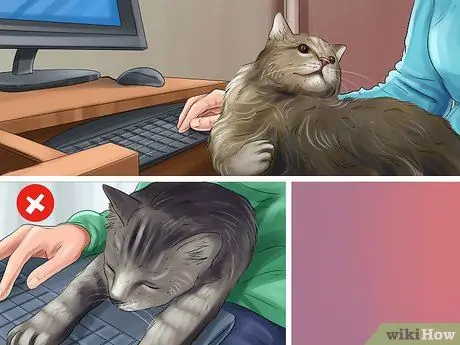 Cat Proof Your Computer Шаг 11