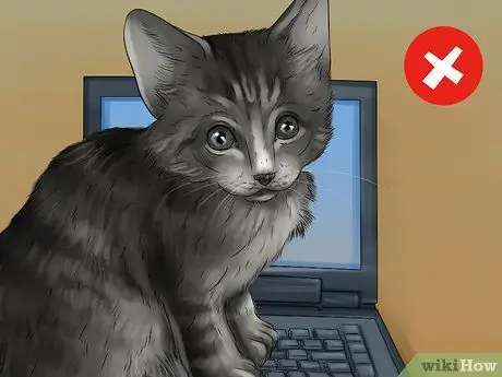 Cat Proof Your Computer Шаг 12