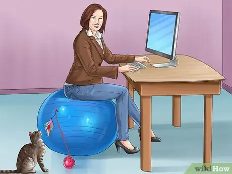 Cat Proof Your Computer Шаг 13