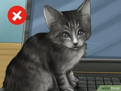 Cat Proof Your Computer Шаг 6