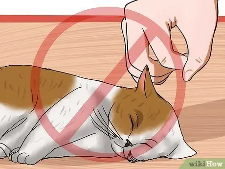 Решение проблем с лотком для кошачьего туалета Шаг 11