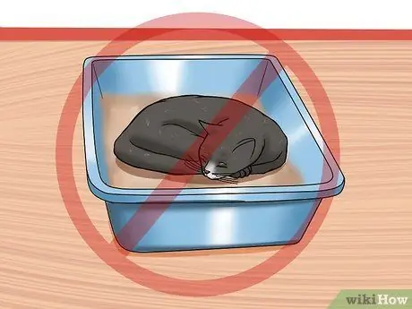 Решение проблем с подносом для кошачьего туалета Шаг 12