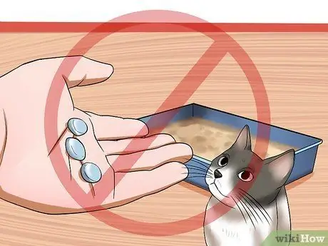 Решение проблем с подносом для кошачьего туалета Шаг 13